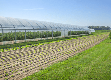 show moreBuilt image